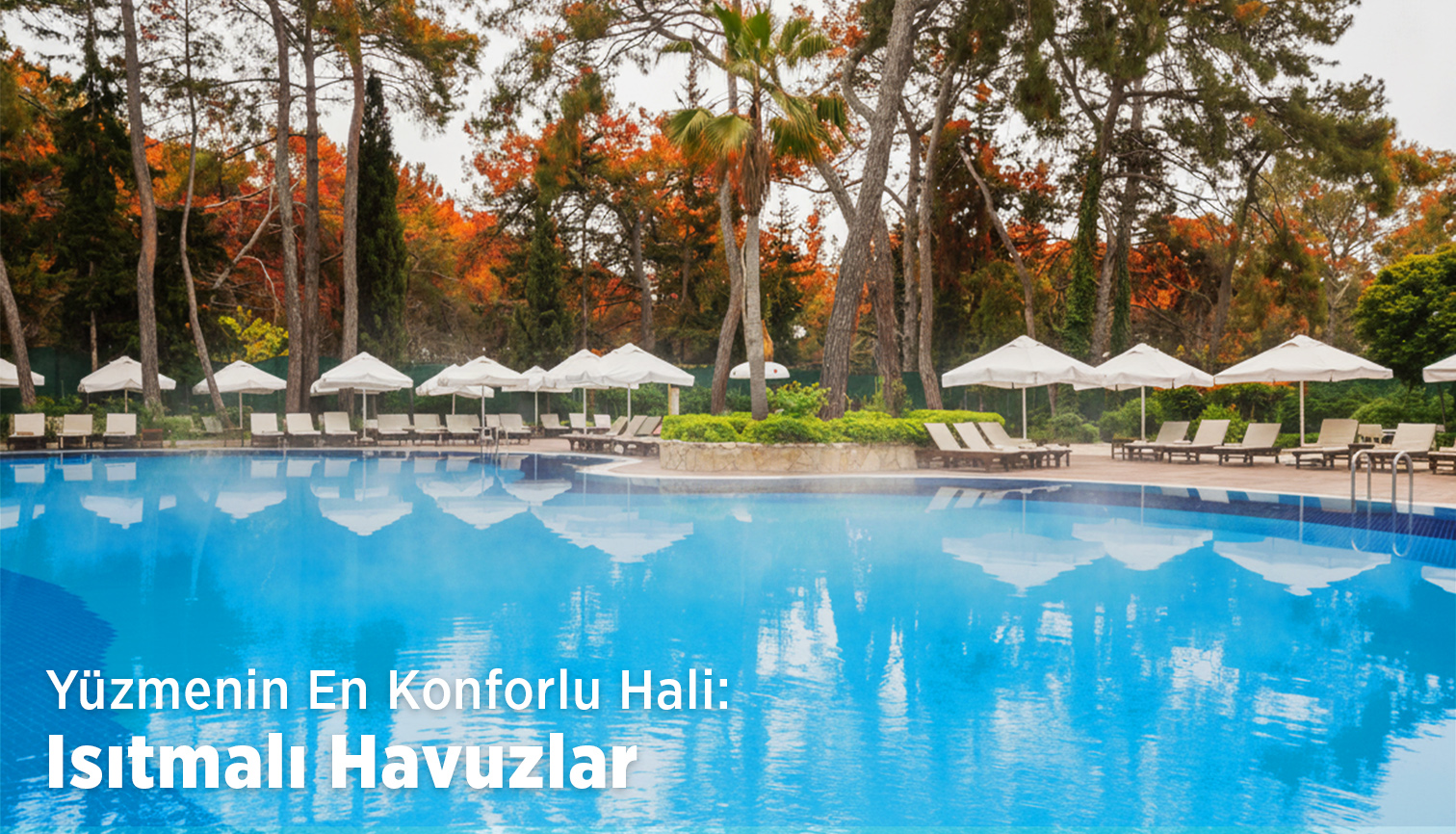 Yüzme Havuzları